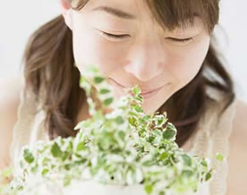 盘点白领办公桌上的“健康三宝”