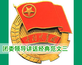 团委领导讲话经典范文三(铁通系统)