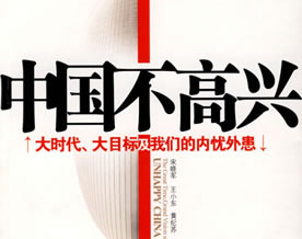 2009十大畅销图书推荐之九：《中国不高兴》