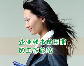 一个企业秘书试用期的工作总结