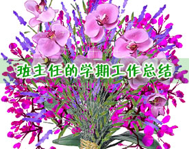 推荐：一个班主任的学期工作总结